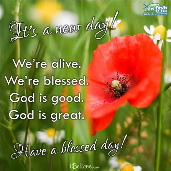 COMMENTS FULL like new listing - Picture 13 of 16